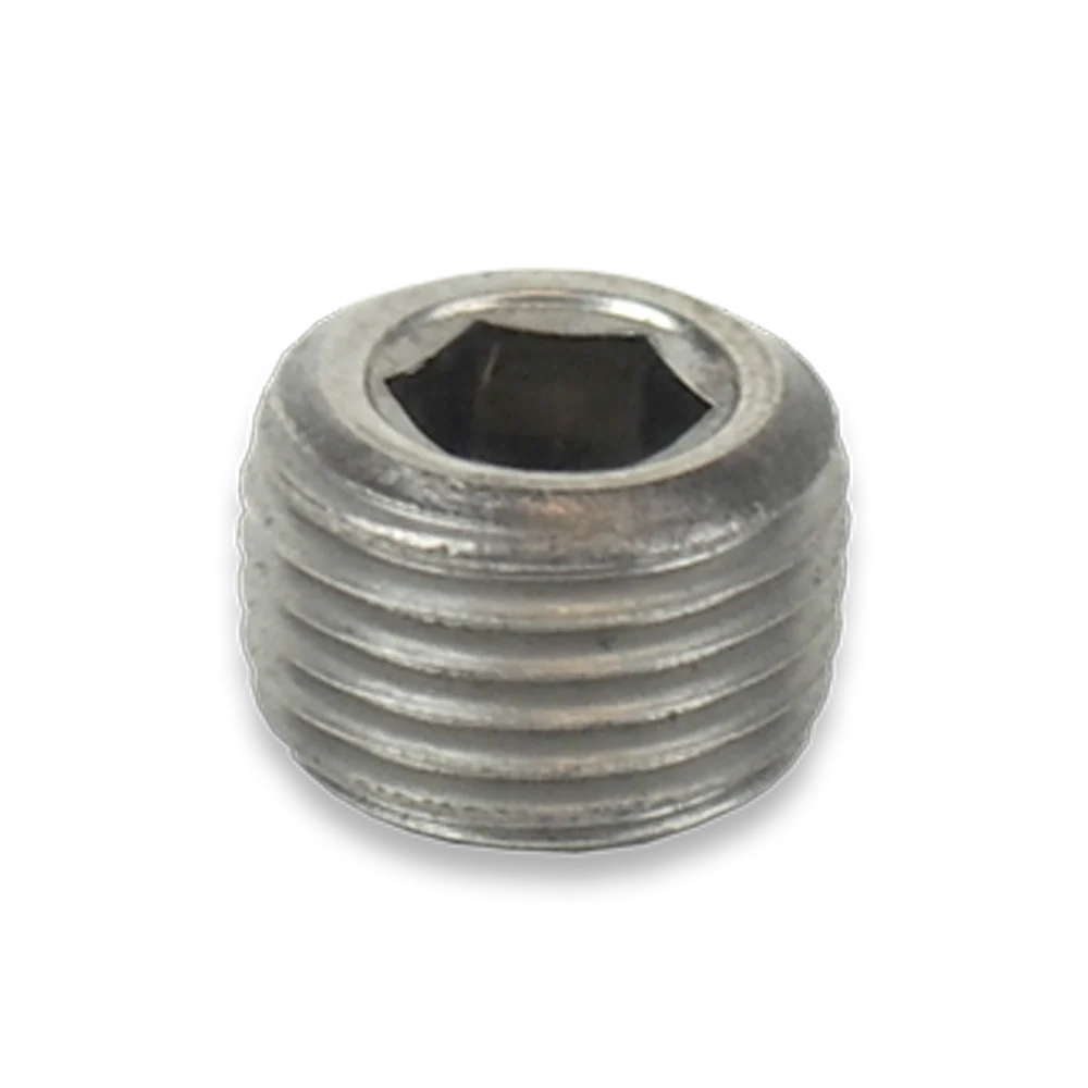 Plug SST - 1/8" MPT HEX Socket