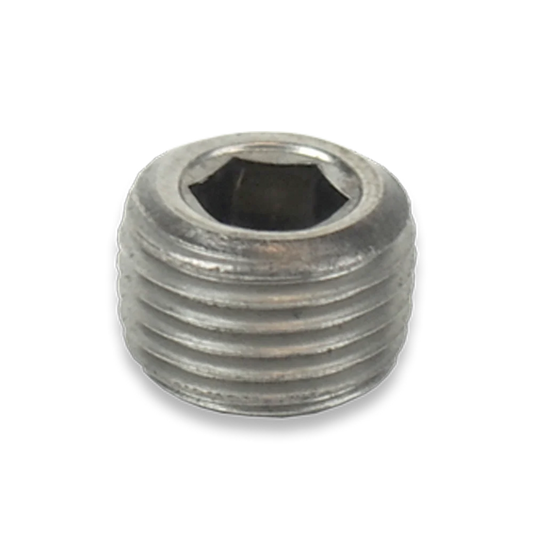 Plug SST - 1/8" MPT HEX Socket
